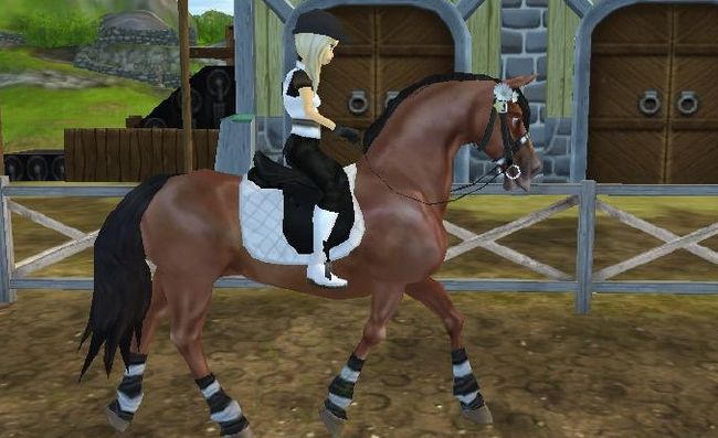 How To Add Friends On Star Stable