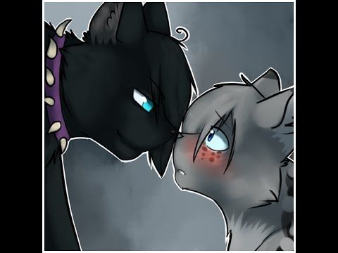 Featured image of post Warrior Cats Scourge And Ashfur