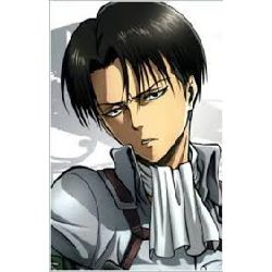 What does Levi Ackerman think of you? - Quiz