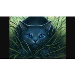 Warrior Cats Name Quizzes