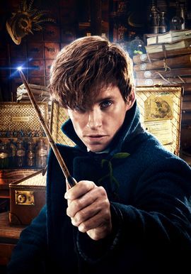 newt scamander q posket