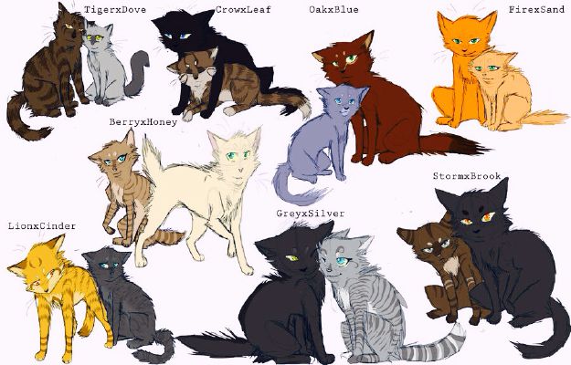 Whats Your Warrior Cat Name Life Long Results She Cats Only Quiz