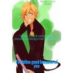 Im Feline Good Because Of You Adrien Agrestechat Noir X