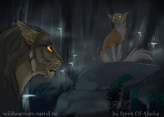 Sunfall x Tigerclaw ~Warriors Cats competition