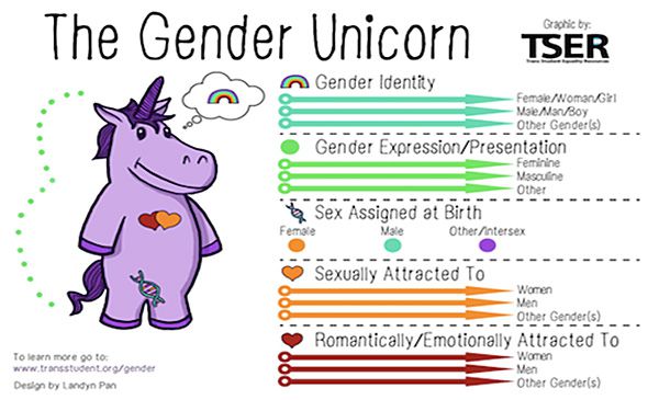 Are You Cute Or Ugly Quiz