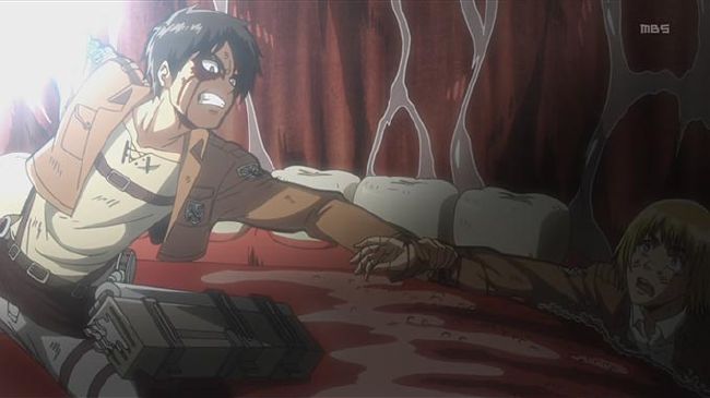 which ackerman are you?