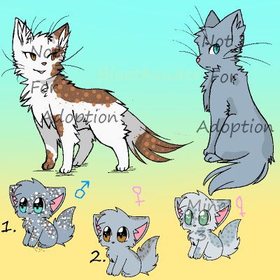 Kit Adopts From A Random Crackship Of My Own Characters Adoptclan Warrior Cat Adoption Breeding Center