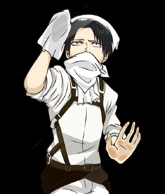What does Levi Ackerman think of you? - Quiz