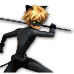 The black cat and the foxy lady ( chat noir x villain reader )