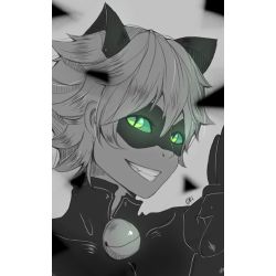 Chat Noir One Shots