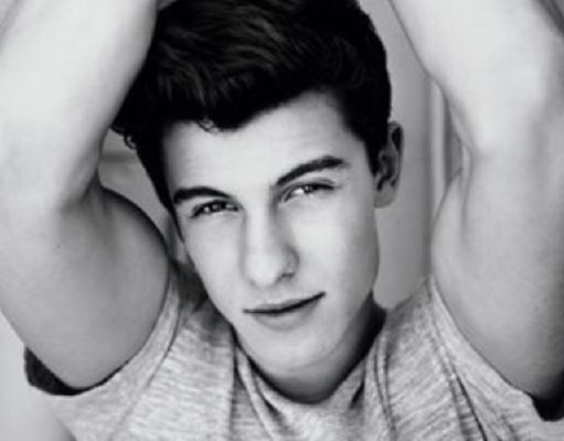 Shawn Mendes Roleplay Quiz
