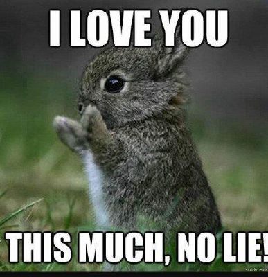 Waking Up Next To Him Hetalia Boyfriend Scenarios