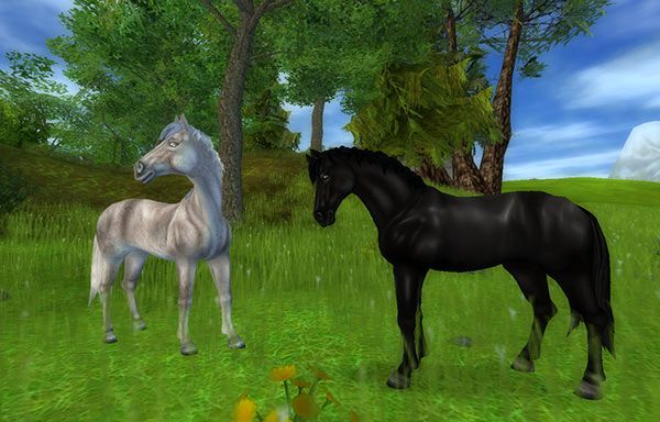 What Horse Should You Buy On Sso Next Quiz