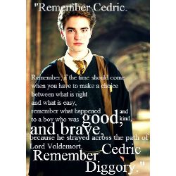 She Is My Everything(cedric Diggory Love Story) Book 1