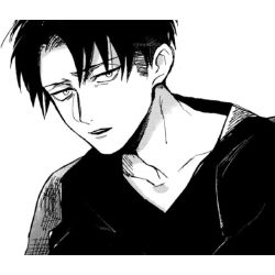 What Does Levi Ackerman Think Of You? [SnK/AoT] - Quiz