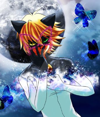 Chat Blanc X Reader Discontinued