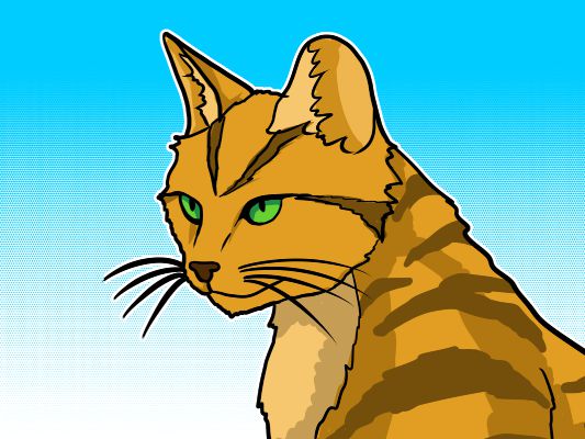 A Windclan Thunderclan Ceremony Warrior Cats Old And New