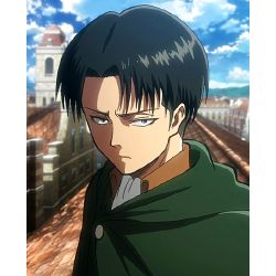 What does Levi Ackerman think of you? - Quiz