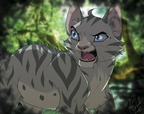 Liking...? (Chapter 3) | Jayfeather x reader x lionblaze