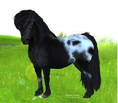 The Best Horse For You In Sso Star Stable Online Quiz