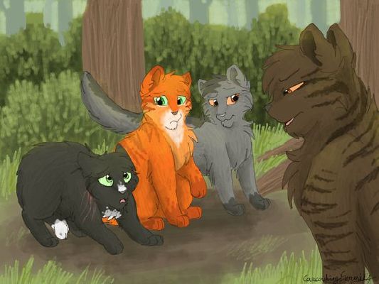 How well do you know Ravenpaw? - Test