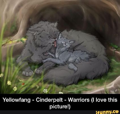 How well do you know Cinderpelt? - Test