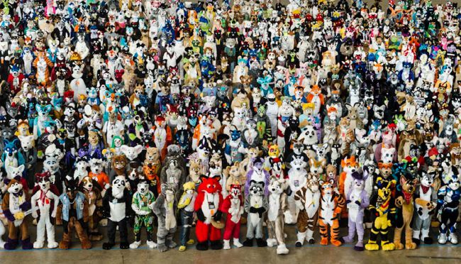 Are you a furry? Quiz