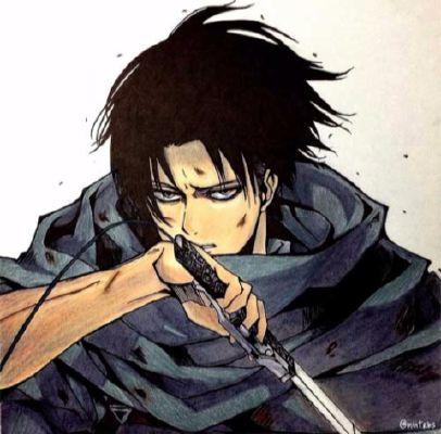 What Does Levi Ackerman Think Of You - Quiz