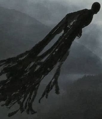 The Shadows Of The Night Arise Caged Body Free Mind