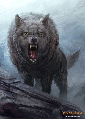 15: Christopher | The Unique Wolf