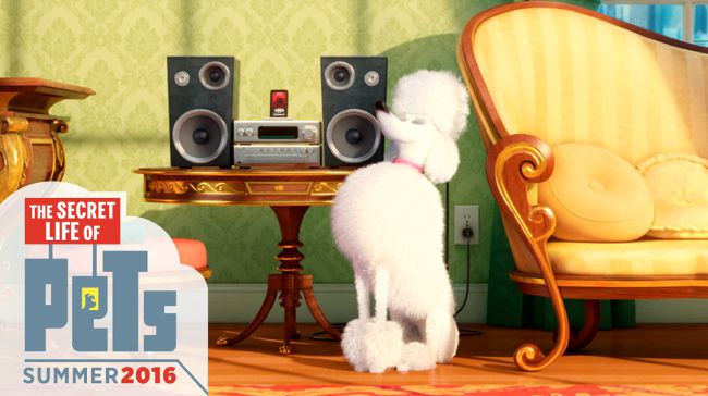 What Secret Life of Pets character are you? - Quiz