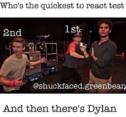 Your Maze Runner Life. - Quiz