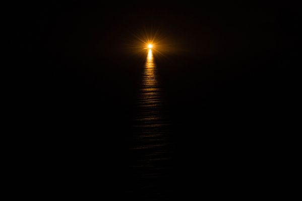 A Light In The Dark