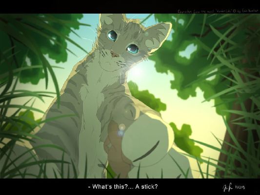 warrior cats into the wild