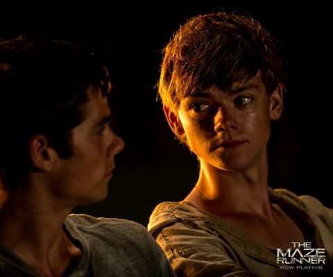 #37.5 Back to the Maze (Newt - post-Death Cure imagine) | Imagines ...