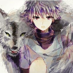 A Wolf's Howl (Hunter X Hunter Killua x Reader)