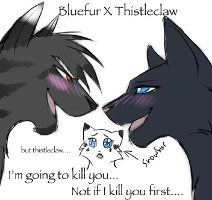 Bluestar | Warrior cats would you rather!