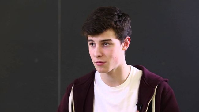 Does Shawn Mendes Love You Quiz