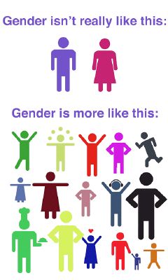 What's Your Gender Identity? - Quiz