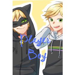 Player Boi Chat Noir X Reader