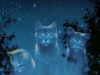 Would You Rather Warrior Cats Survey