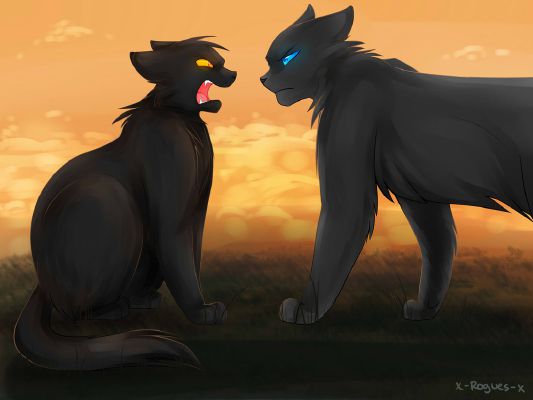 Warrior Cats Leafpool And Crowfeather 
