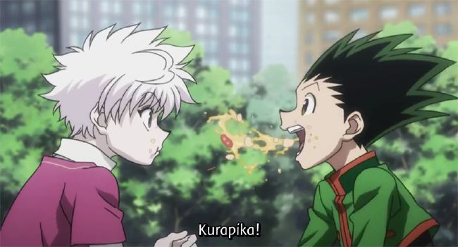 A Reunion | Hunter x Hunter various x Reader