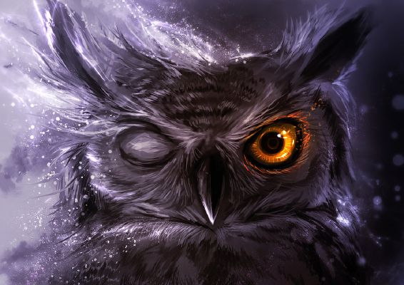 Owls in the Lonely Night | The Fawn And Time *Naruto Story*