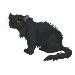 warrior cats forest of secrets warrior cats forest of secrets
