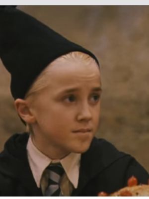 End Of Year 1 The Perfect Match For The Slytherin Prince A group for all those who are a fan of draco malfoy, the slytherin prince from the harry potter series! the perfect match for the slytherin prince