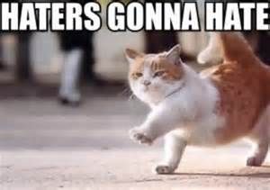 What Type Of Cat Are You Quiz
