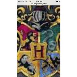 Your hogwarts house - Quiz