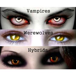 Vampire Werewolf Hybrid Quizzes