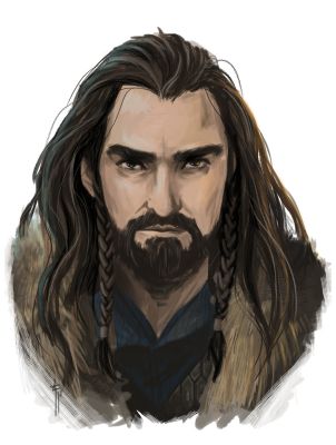 The company of Thorin Oakenshield | A light at the end of the tunnel ...